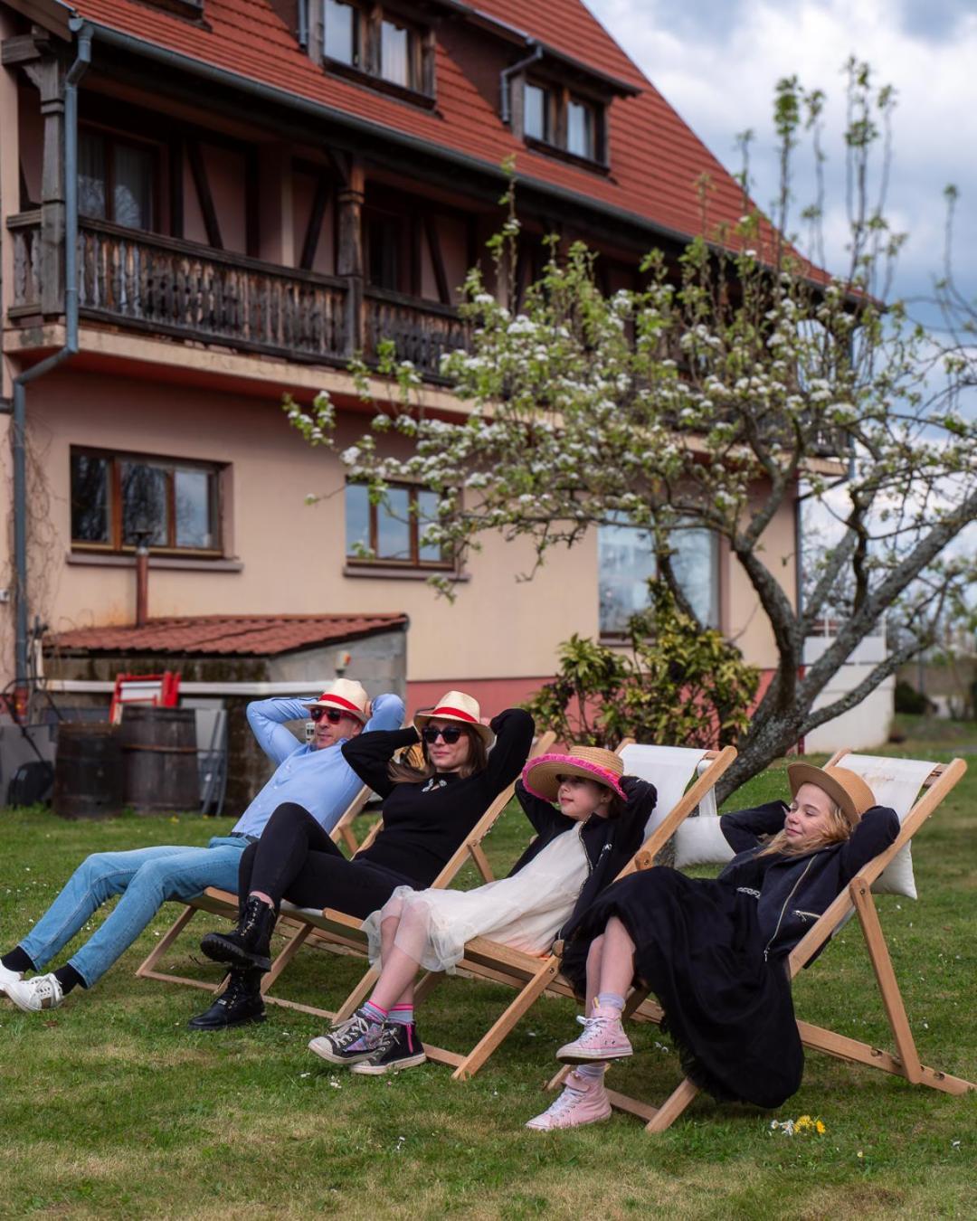 Hotel Restaurant Verger Des Chateaux, Route Des Vins Haut-Koenigsbourg Dieffenthal Buitenkant foto