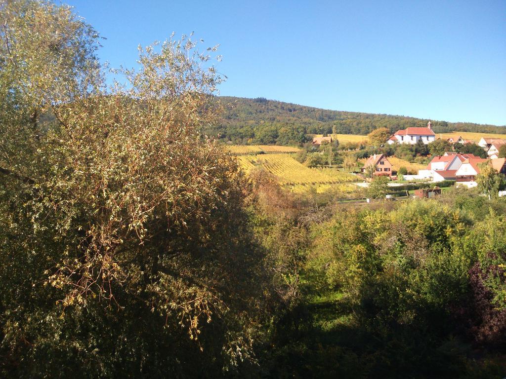Hotel Restaurant Verger Des Chateaux, Route Des Vins Haut-Koenigsbourg Dieffenthal Buitenkant foto