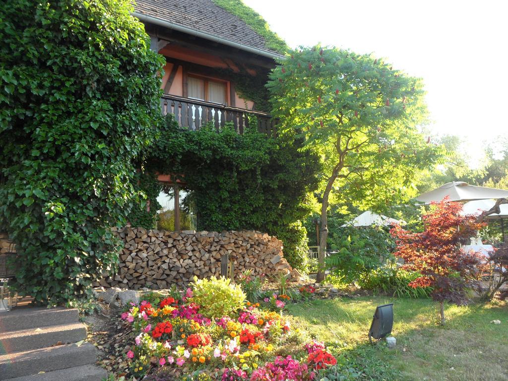 Hotel Restaurant Verger Des Chateaux, Route Des Vins Haut-Koenigsbourg Dieffenthal Buitenkant foto