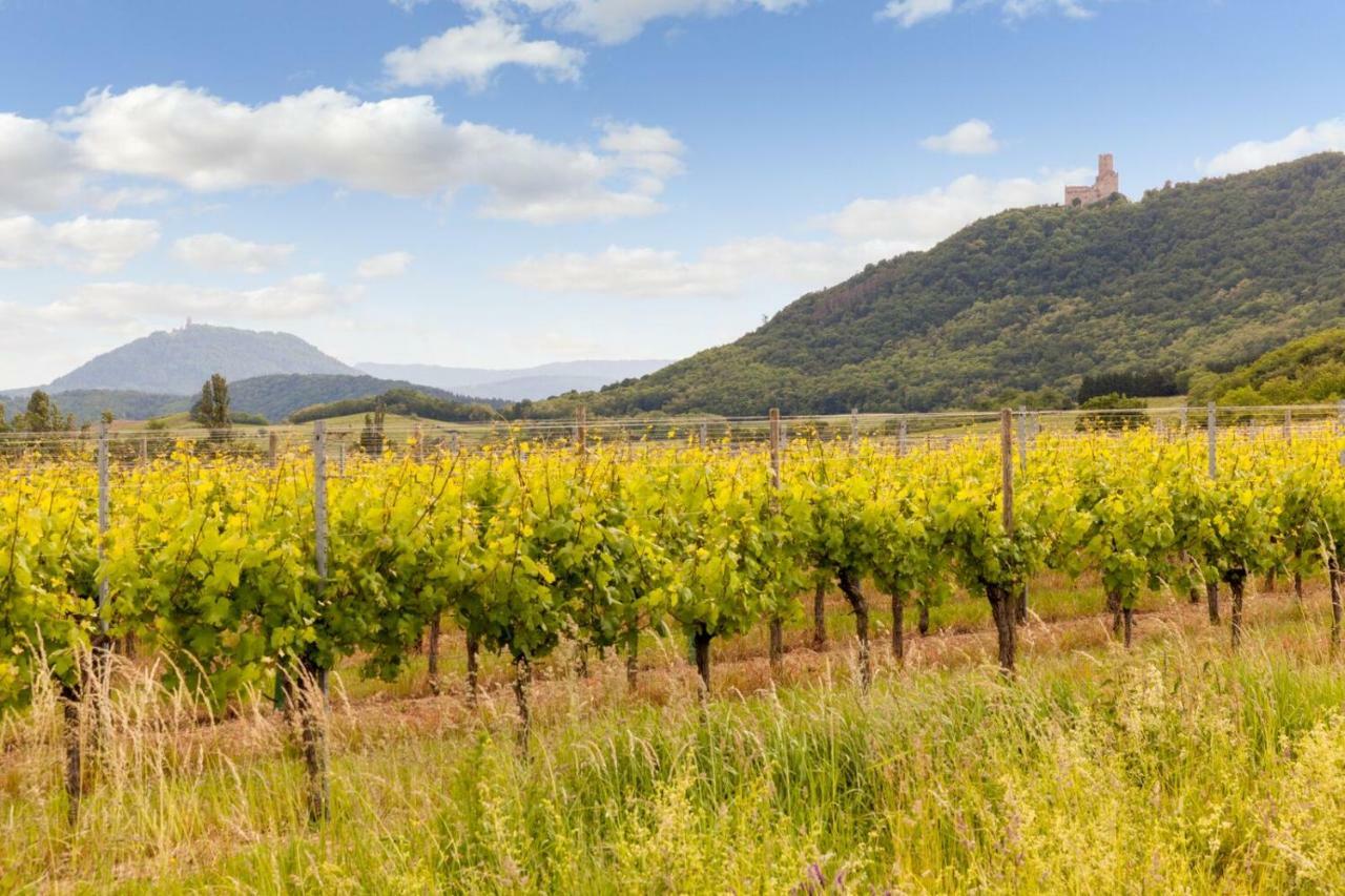 Hotel Restaurant Verger Des Chateaux, Route Des Vins Haut-Koenigsbourg Dieffenthal Buitenkant foto